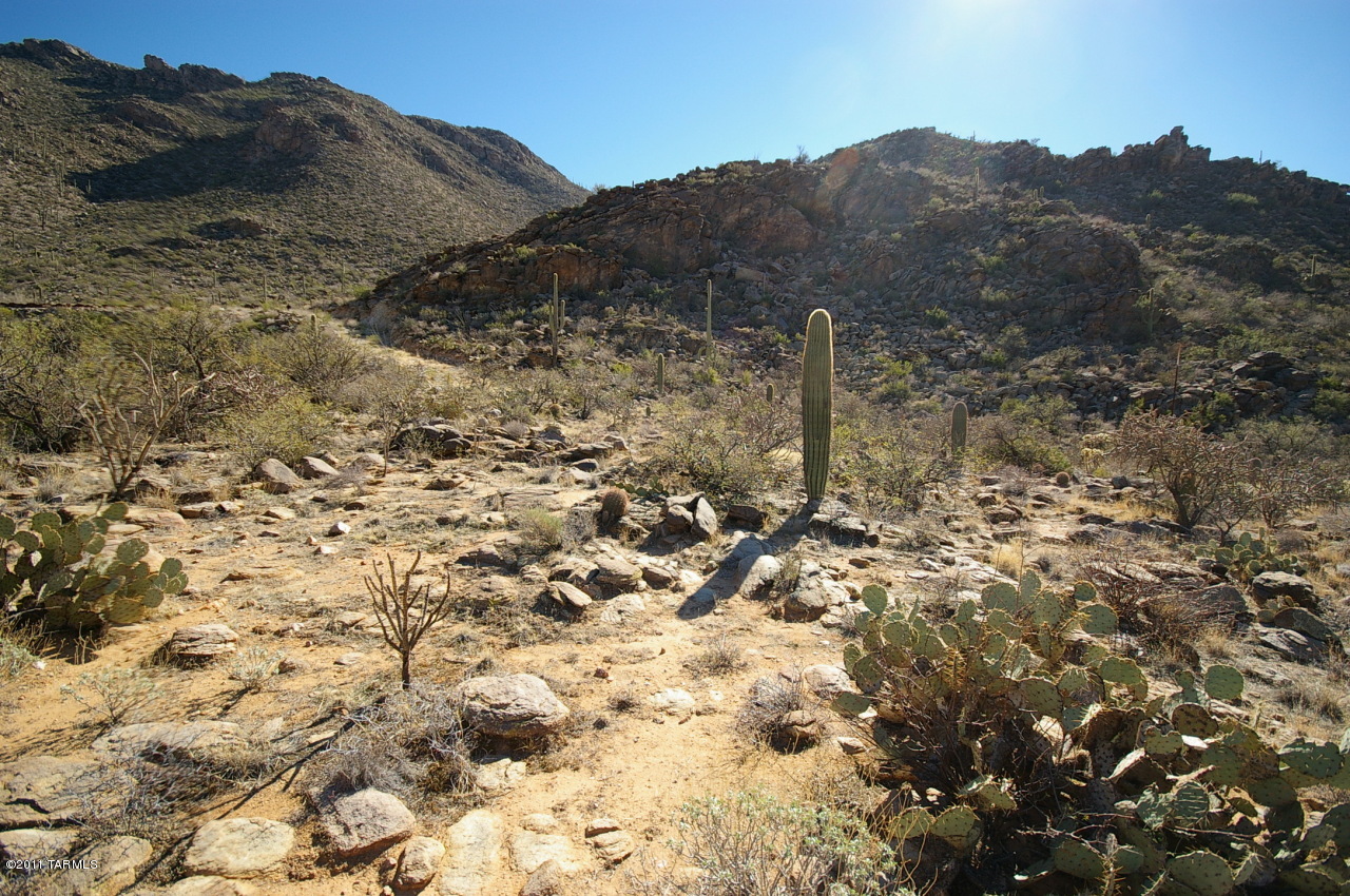 Canyon Pass II At Dove Mountain (49-110) - Land