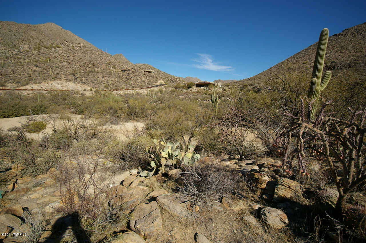 Canyon Pass II At Dove Mountain (49-110) - Land