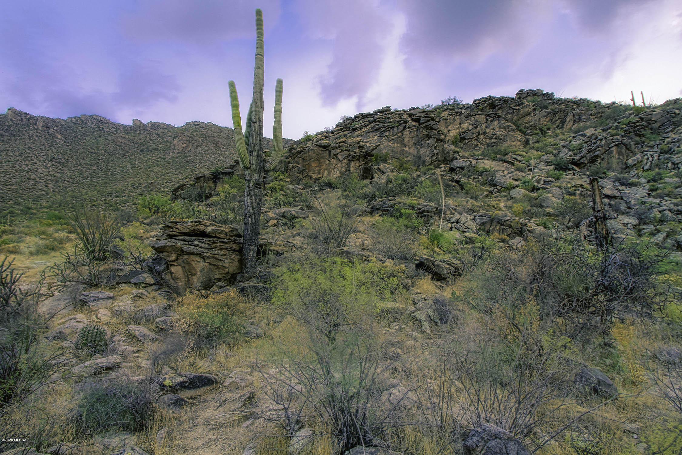 Canyon Pass II At Dove Mountain (49-110) - Land