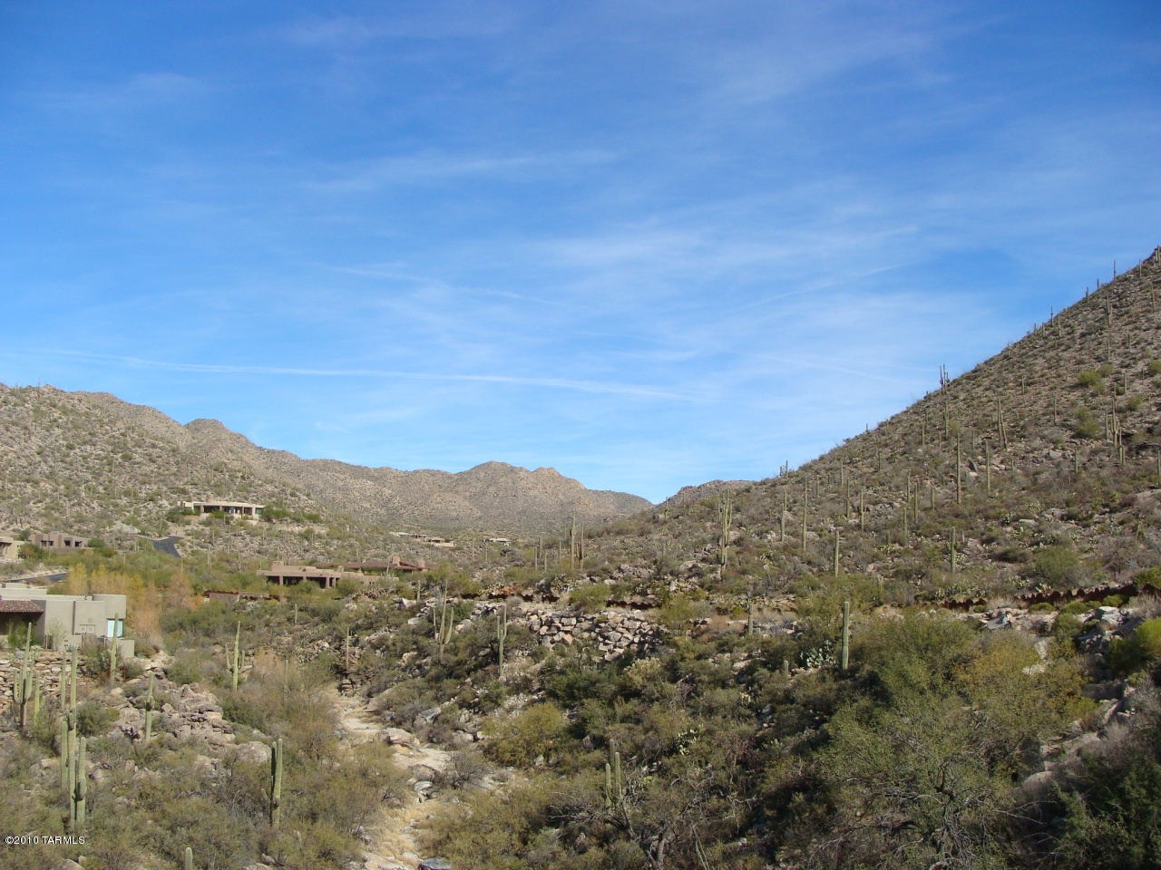 Canyon Pass II At Dove Mountain (49-110) - Land