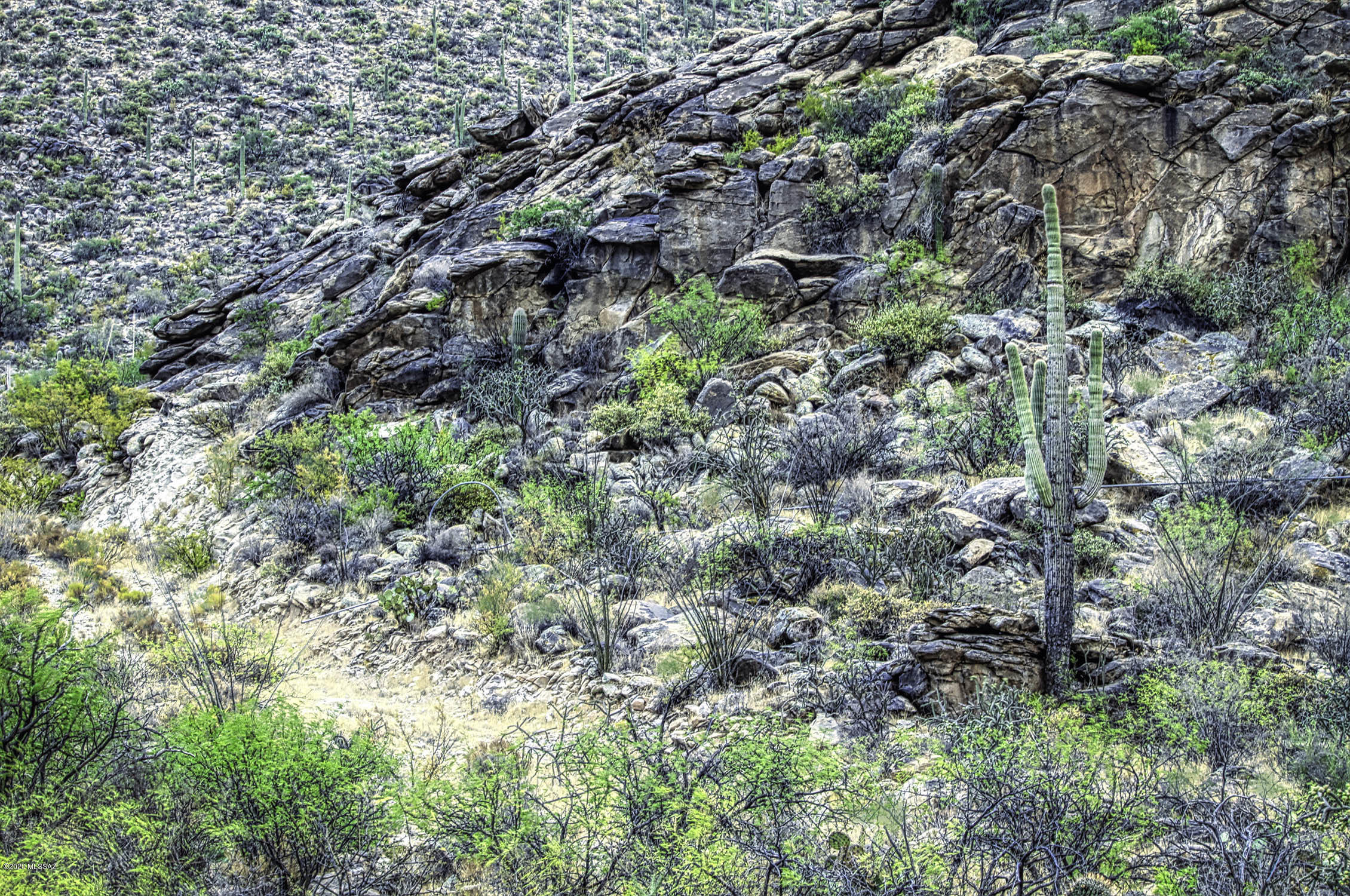 Canyon Pass II At Dove Mountain (49-110) - Land