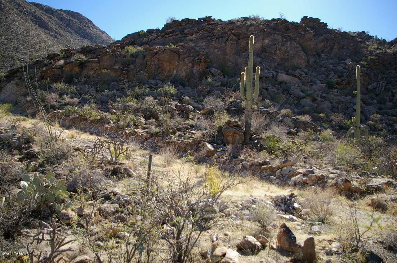 Canyon Pass II At Dove Mountain (49-110) - Land