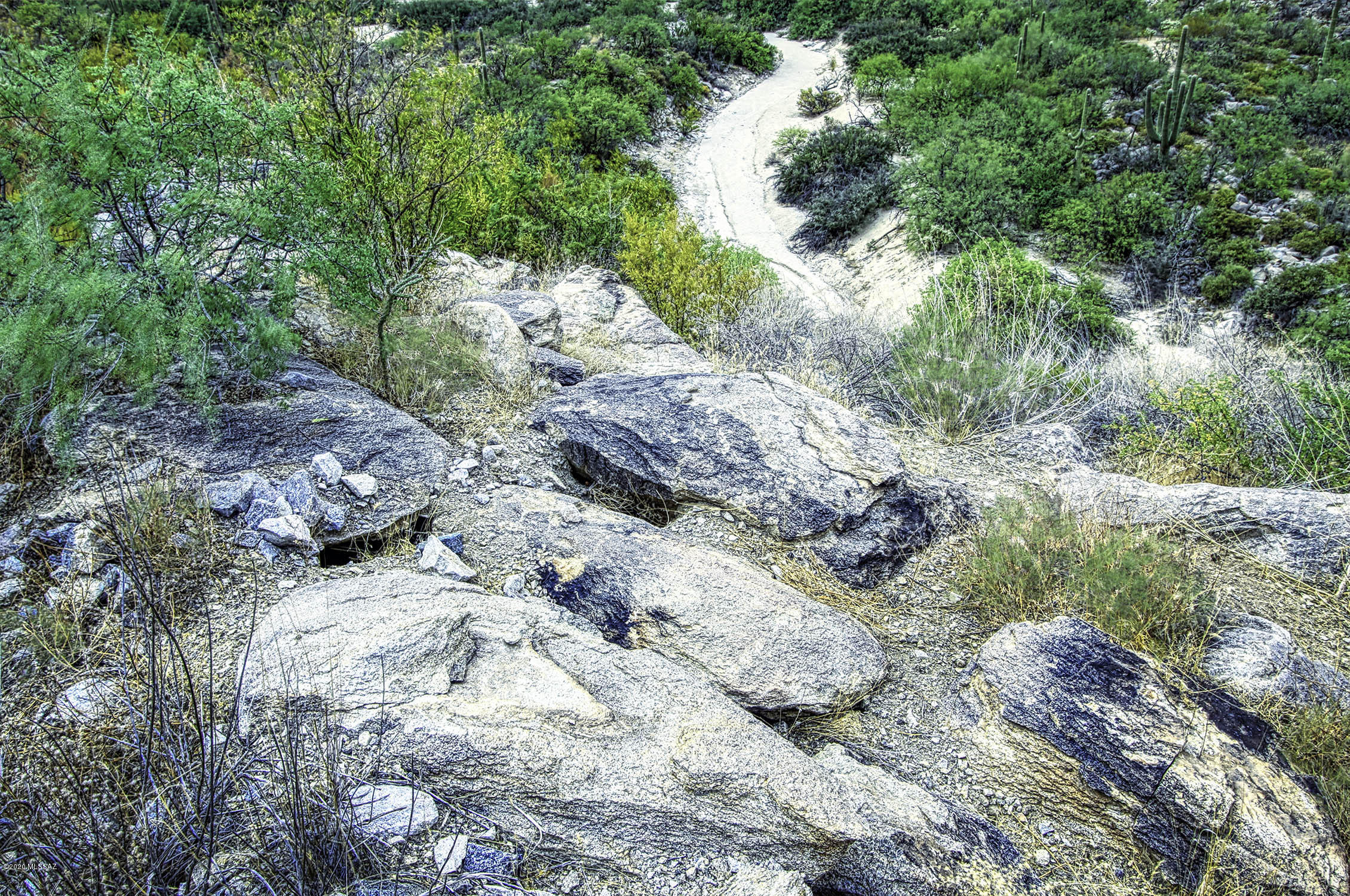 Canyon Pass II At Dove Mountain (49-110) - Land