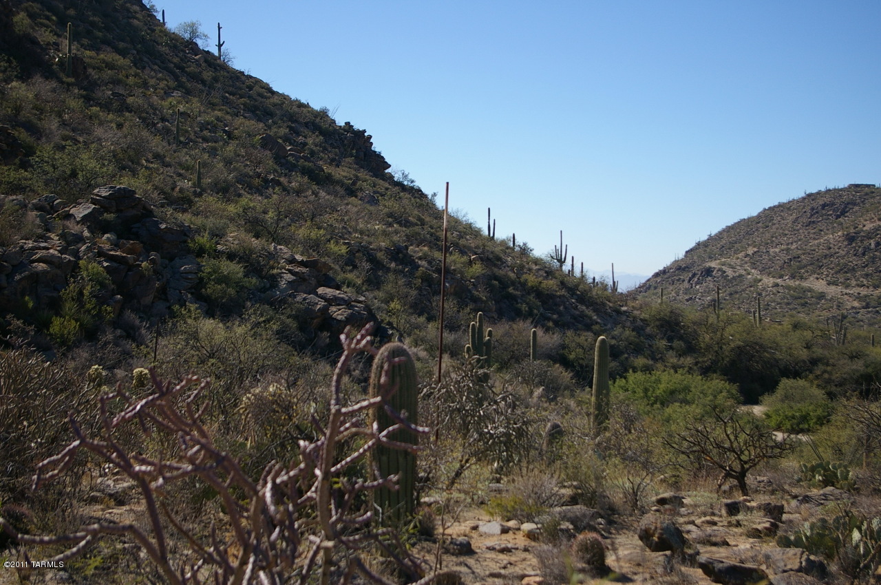 Canyon Pass II At Dove Mountain (49-110) - Land