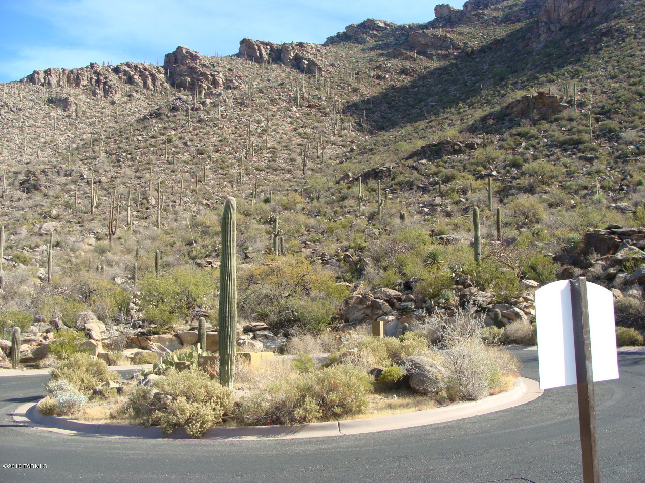 Canyon Pass II At Dove Mountain (49-110) - Land