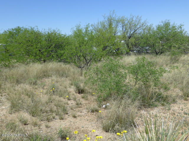 Nice lot with large mesquite trees, cactus and desert grasses.  Electric, water and phone to the lot line, in alley.   Great view of the Rincons.