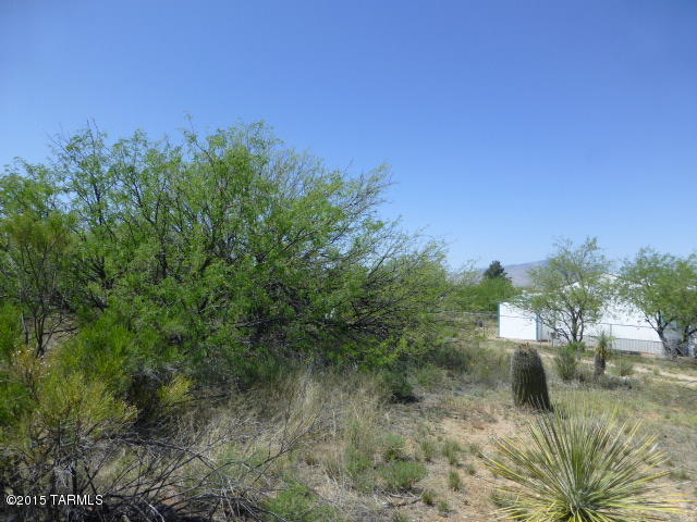 Mescal Lakes - Land