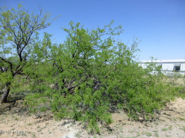 Mescal Lakes - Land