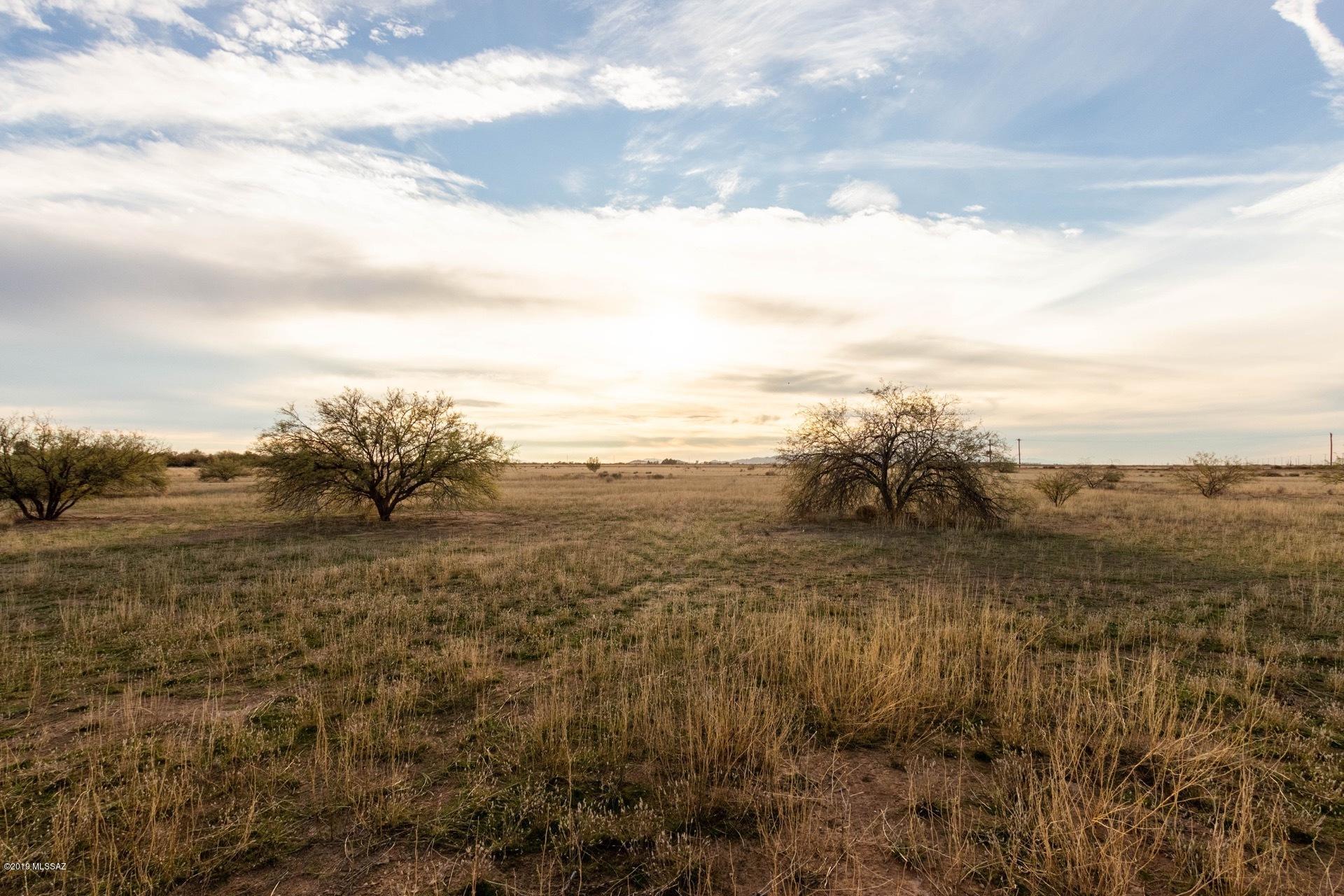Out Of Pima County - Land