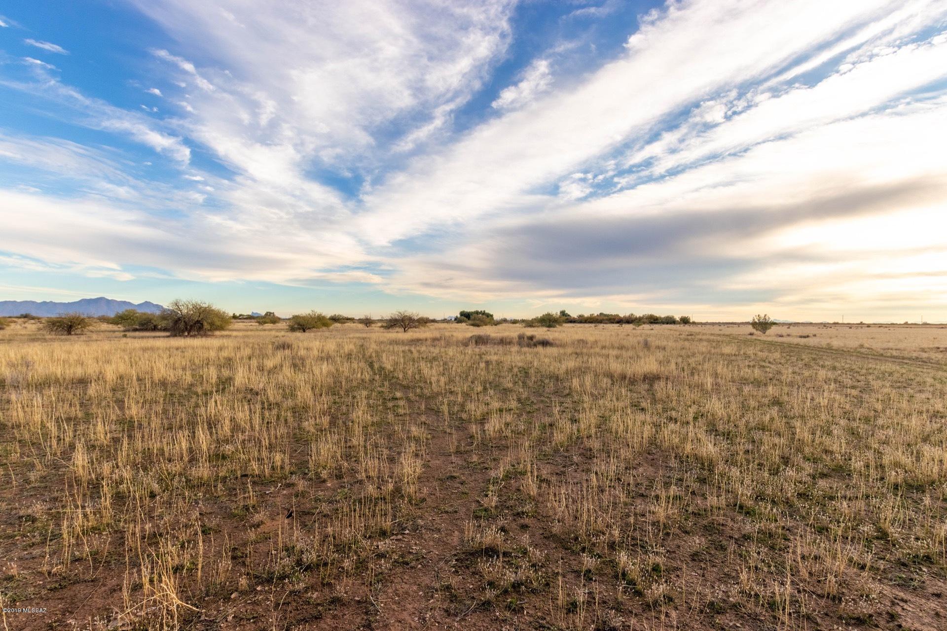 Out Of Pima County - Land