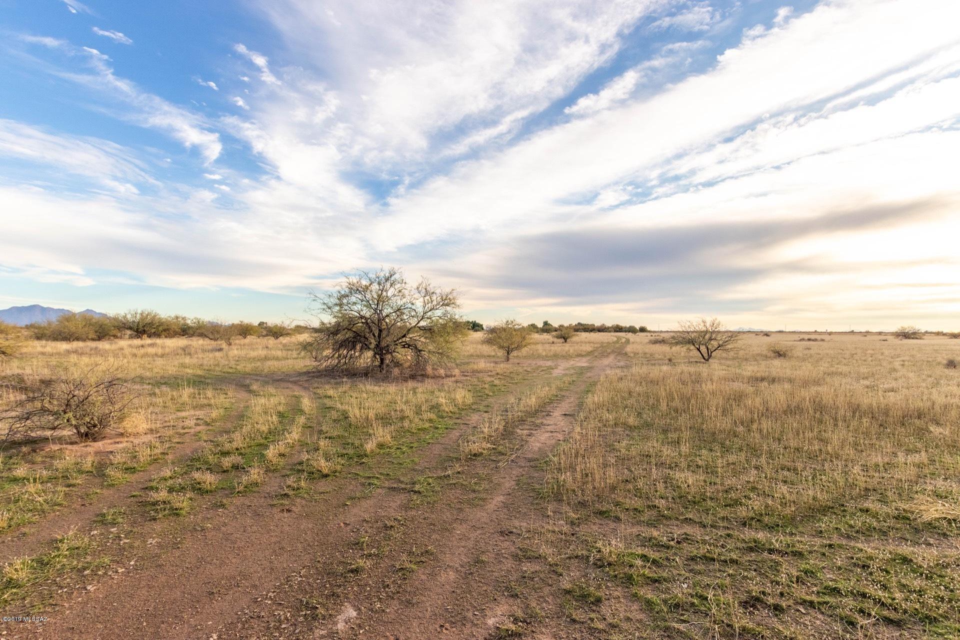 Out Of Pima County - Land