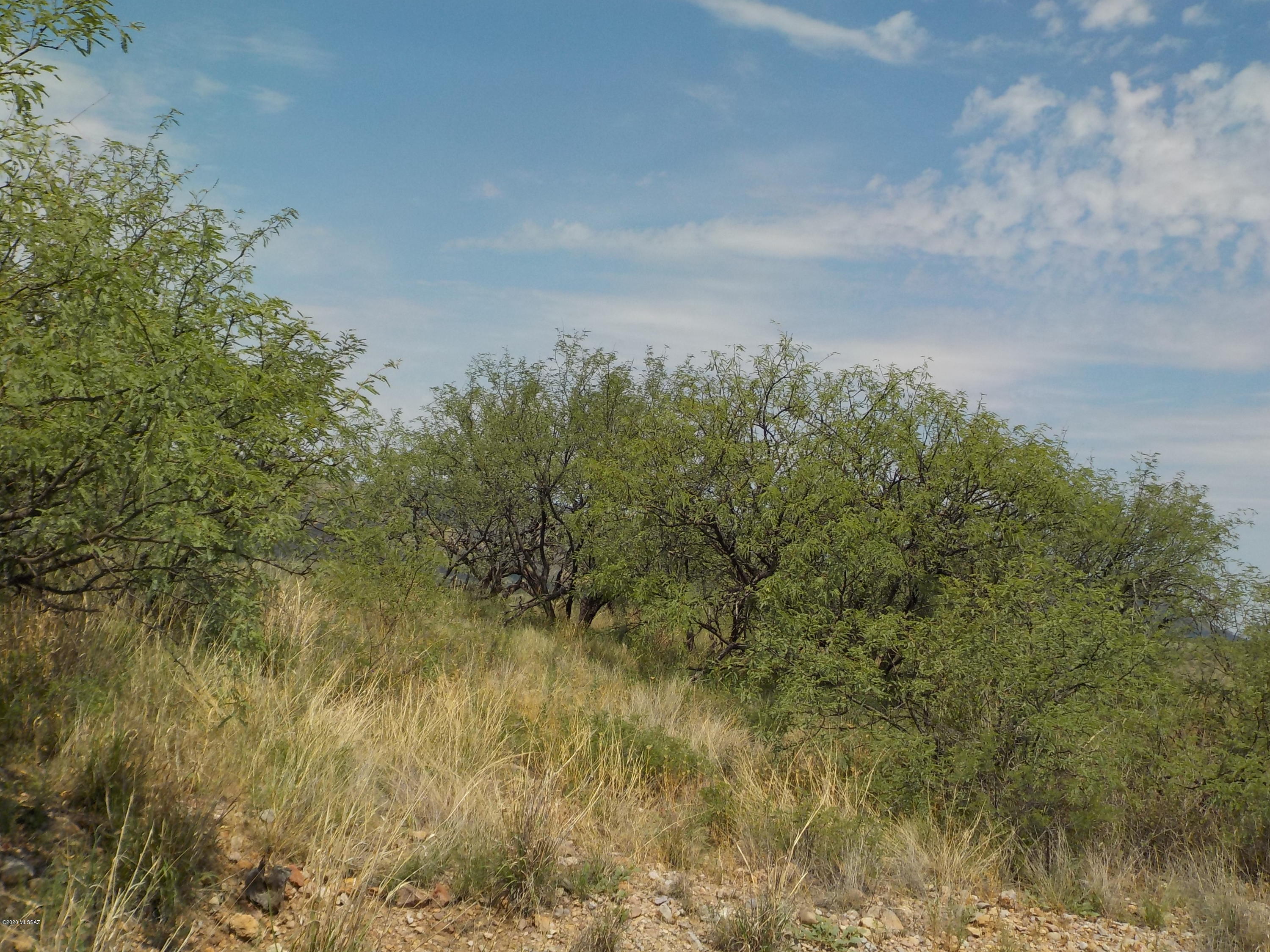 Rio Rico Ranchettes - Land