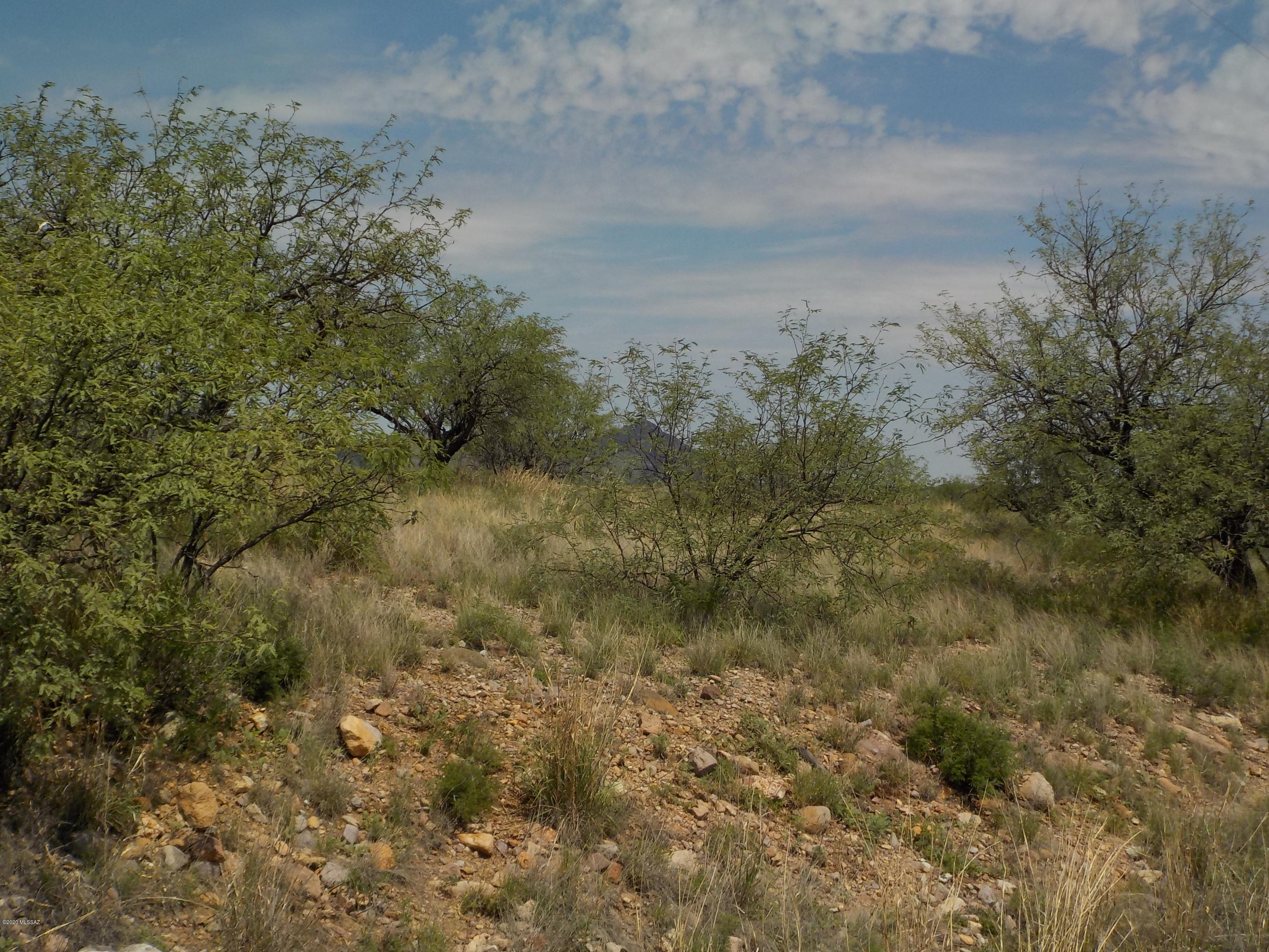 Rio Rico Ranchettes - Land