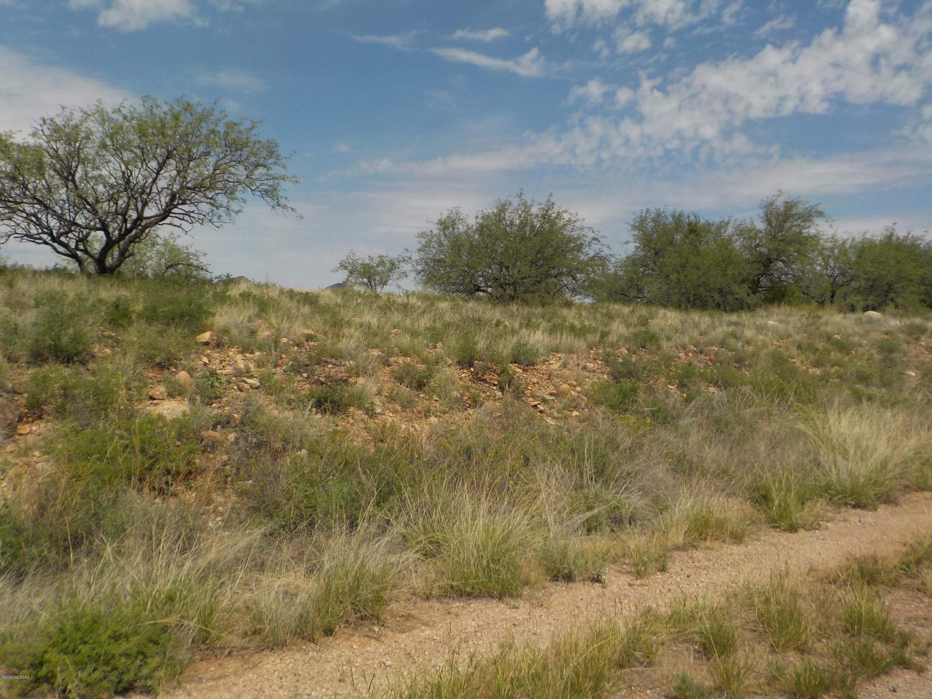 Rio Rico Ranchettes - Land