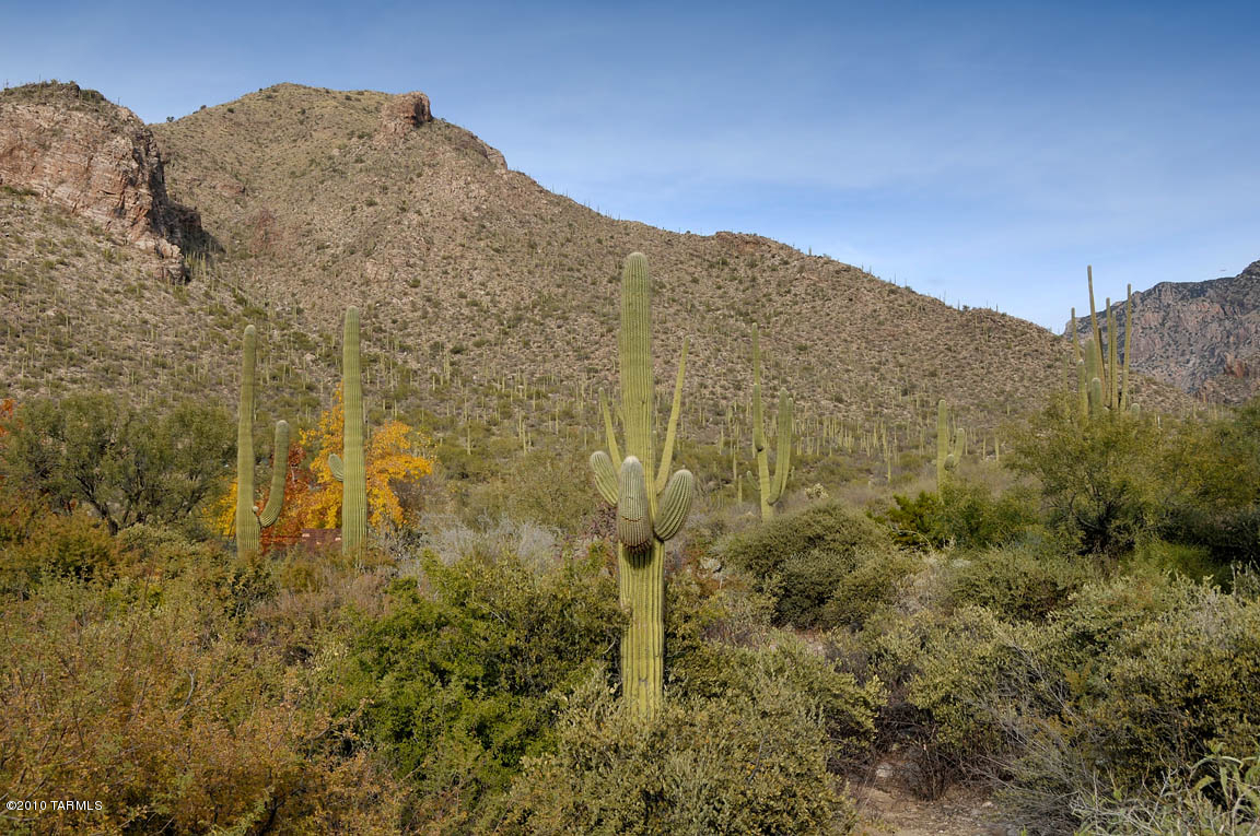 Pima Canyon Estates (1-14) - Land