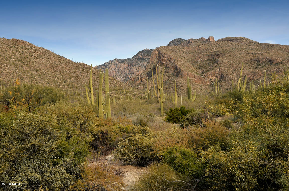 Pima Canyon Estates (1-14) - Land