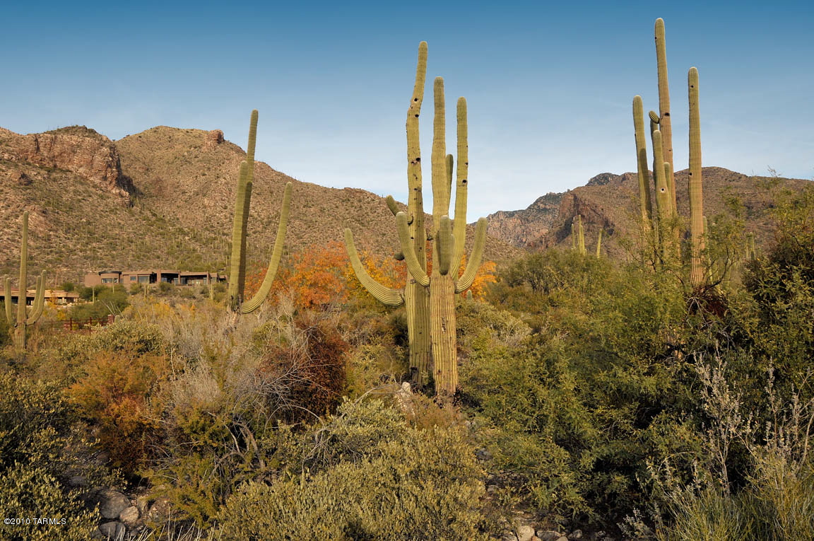 Pima Canyon Estates (1-14) - Land