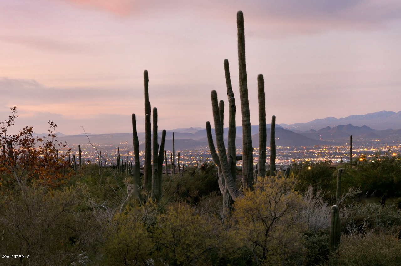 Pima Canyon Estates (1-14) - Land