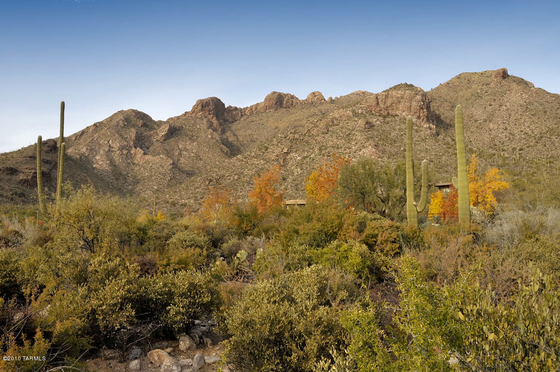 Pima Canyon Estates (1-14) - Land