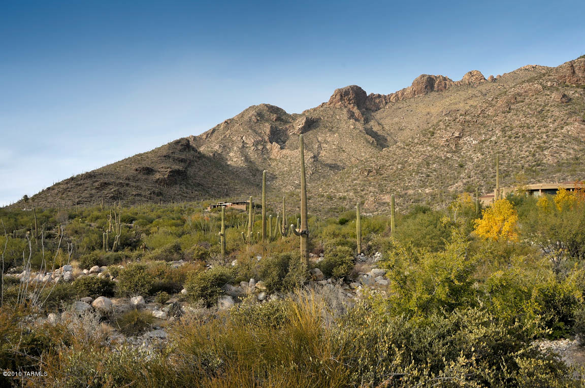 Pima Canyon Estates (1-14) - Land