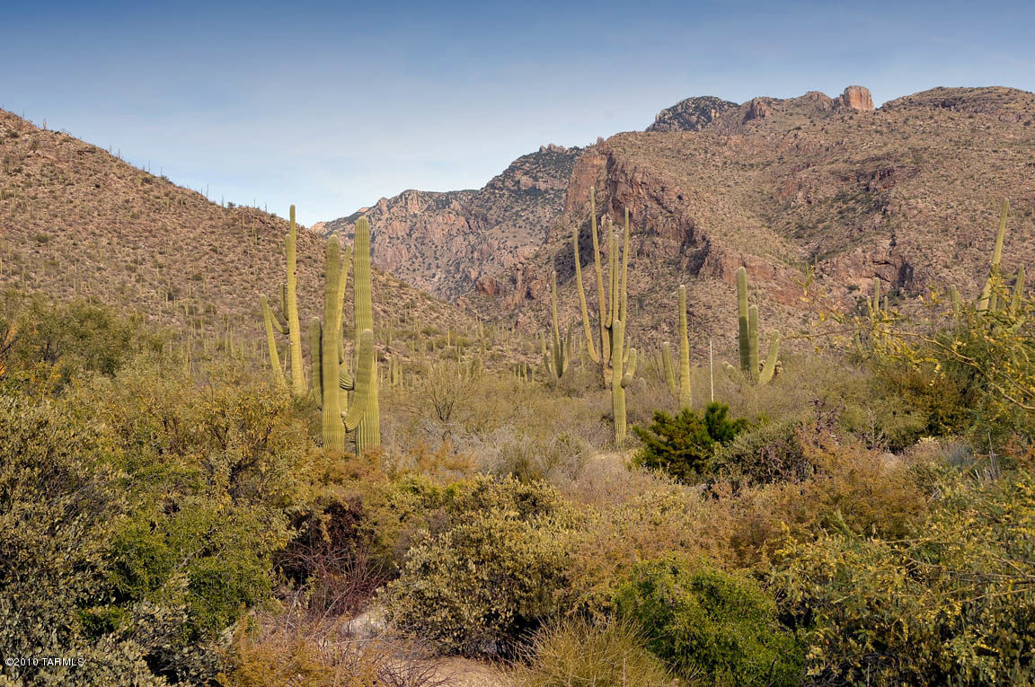 Pima Canyon Estates (1-14) - Land
