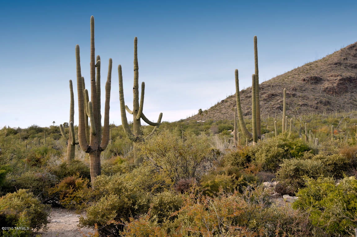 Pima Canyon Estates (1-14) - Land
