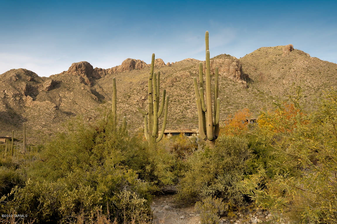 Pima Canyon Estates (1-14) - Land
