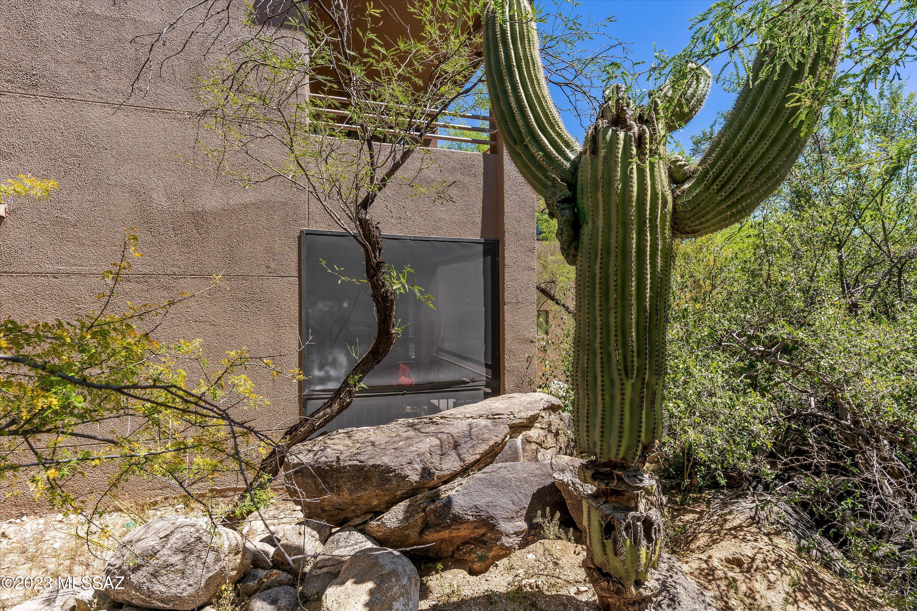 Canyon View At Ventana Condominium (1-264) - Residential