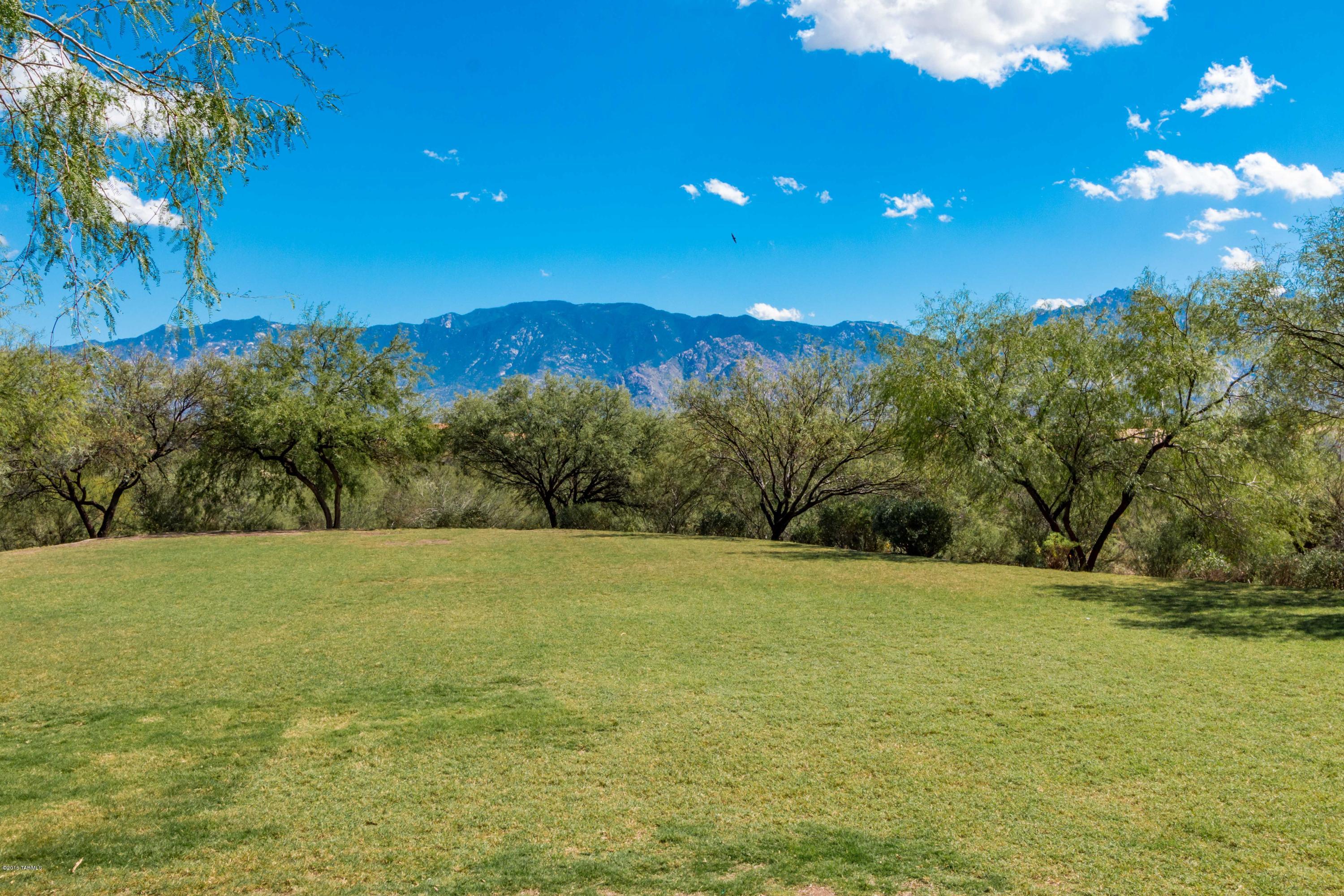 Rancho Vistoso Neighborhood 10 - Residential