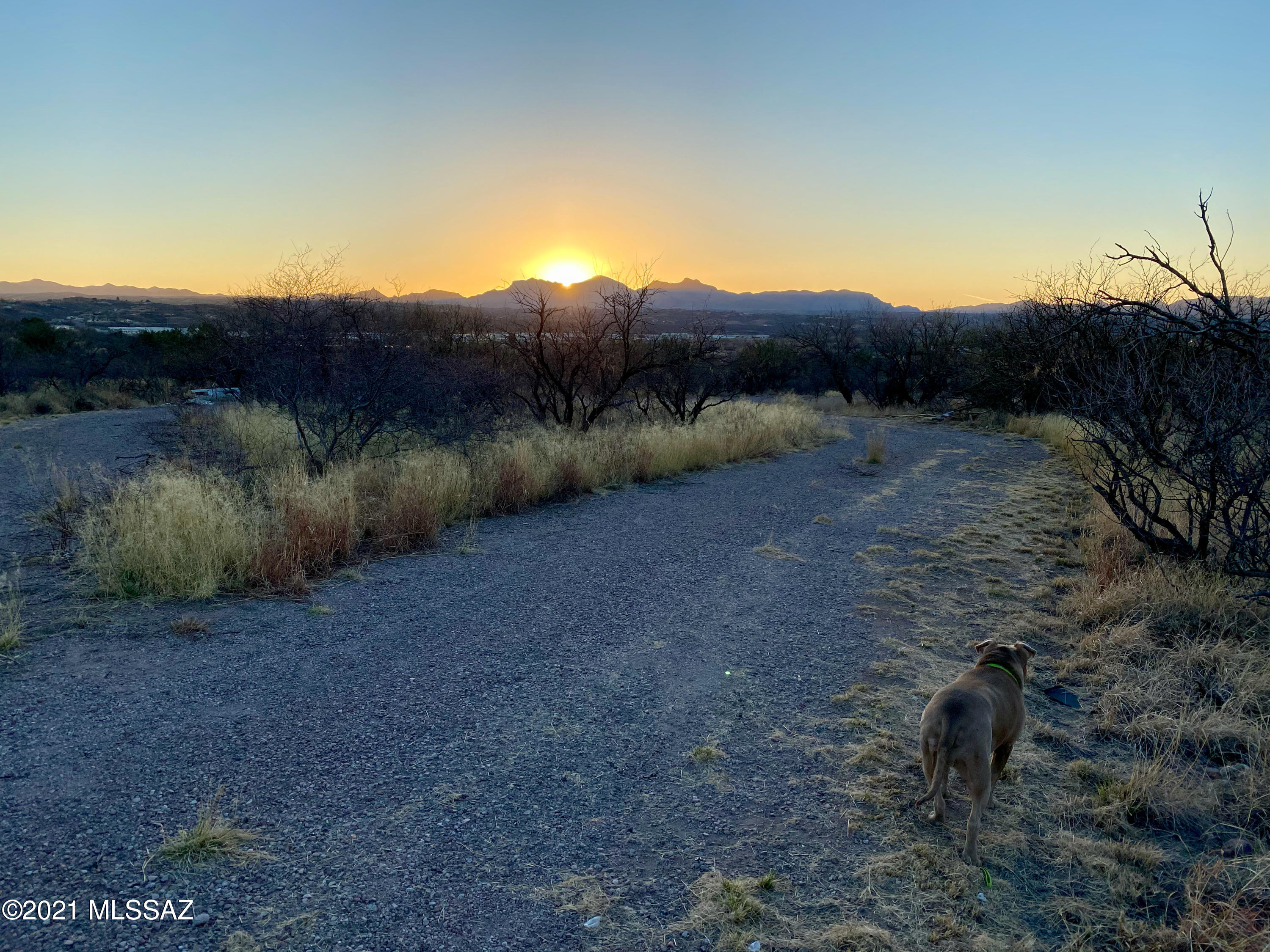 Rio Rico Estates - Land