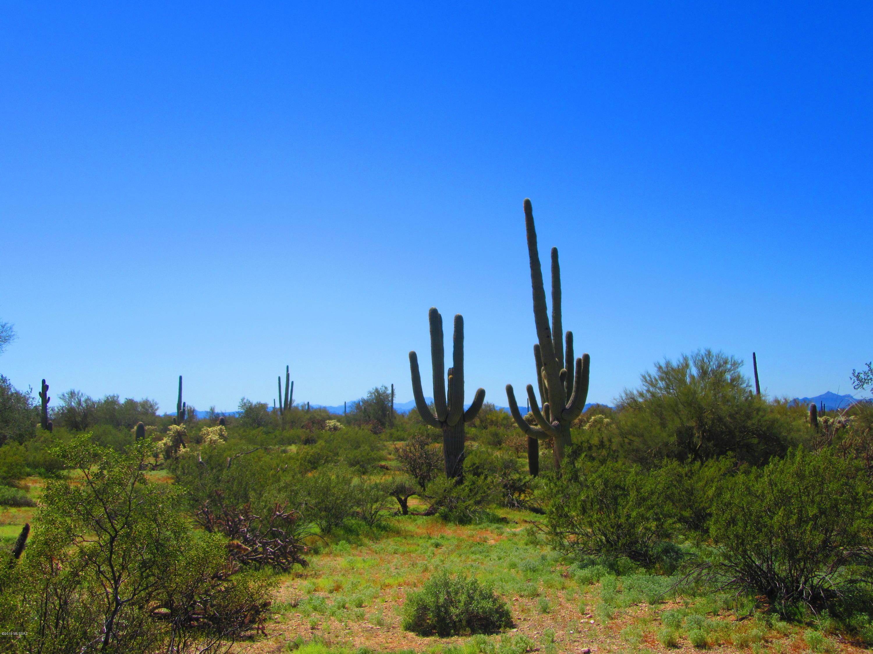 Beautiful 10 acre parcel of prime sonoran desert with mature Ironwood trees, Palo Verdes, and Saguaros. Adjacent to BLM land to the north and completely fenced. Power is only 1/4 of a mile to the East. In a growing area of Pinal County.