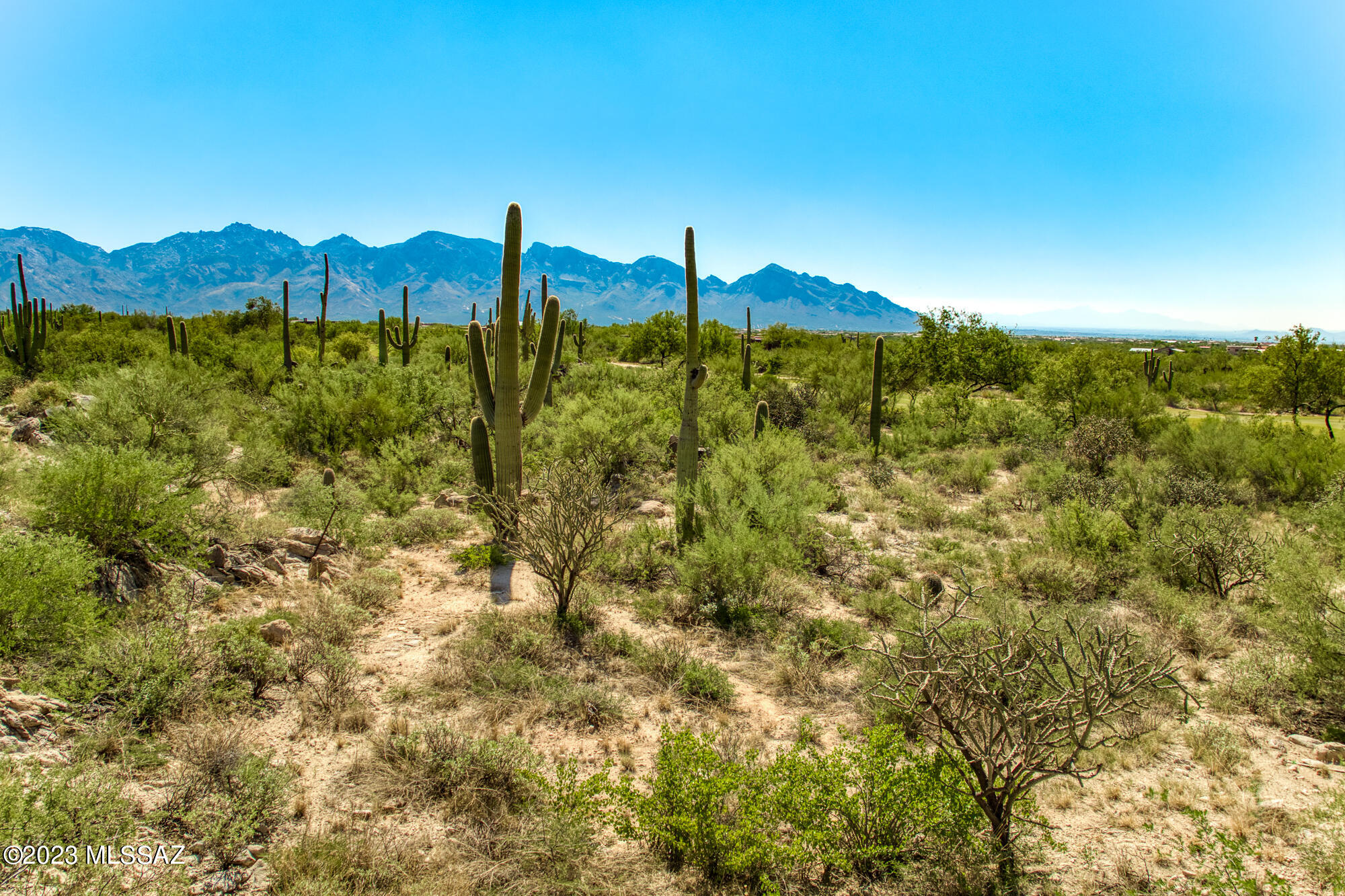 Stone Canyon II - Land