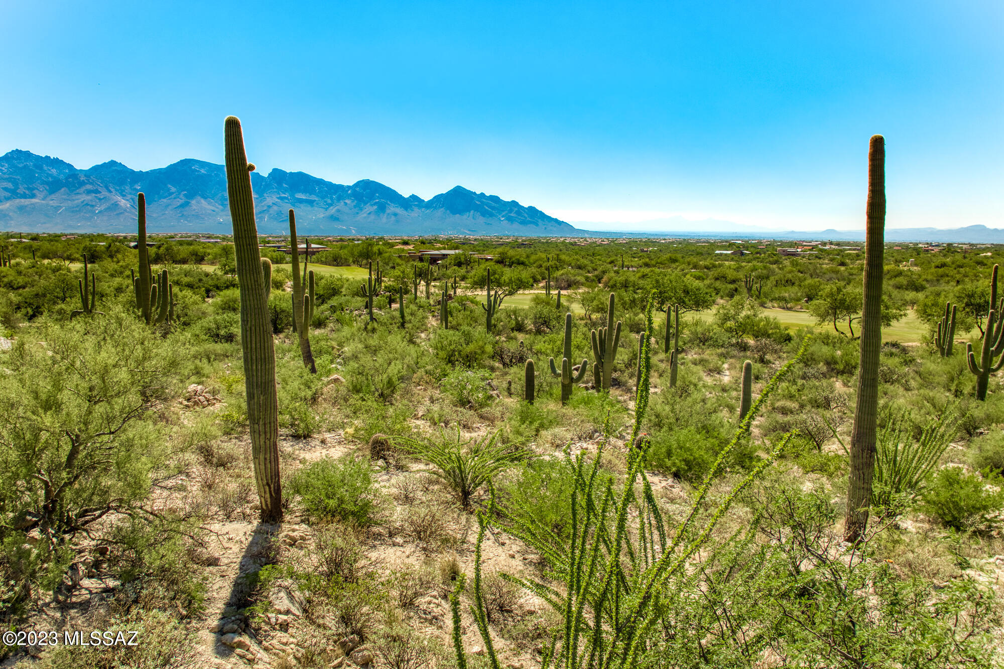 Stone Canyon II - Land