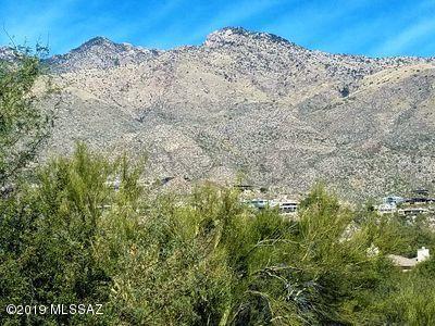 Greens at Ventana Canyon - Residential