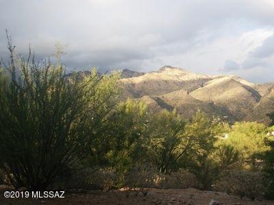 Greens at Ventana Canyon - Residential