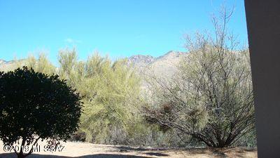 Greens at Ventana Canyon - Residential