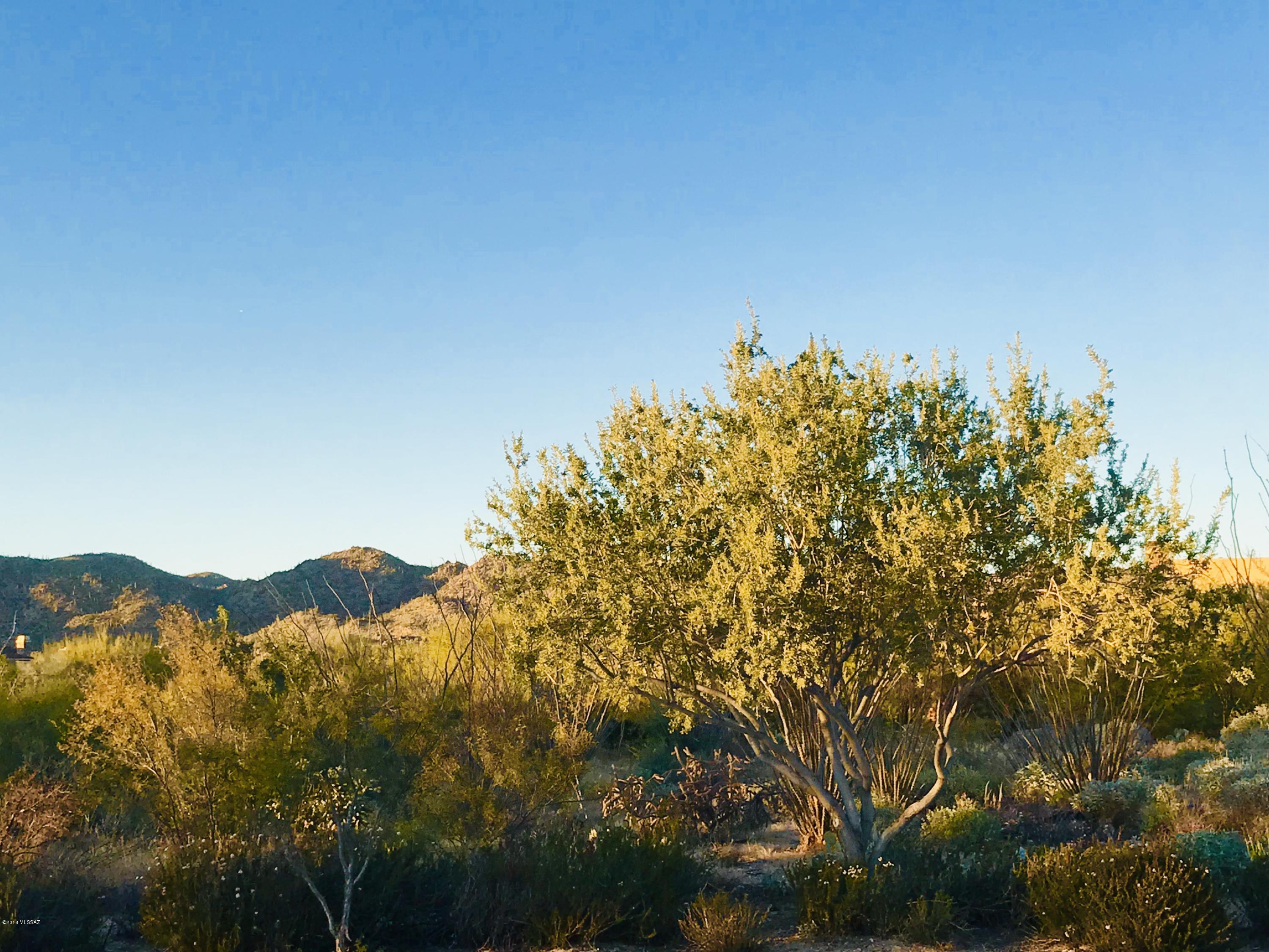 Stone Canyon I - Land