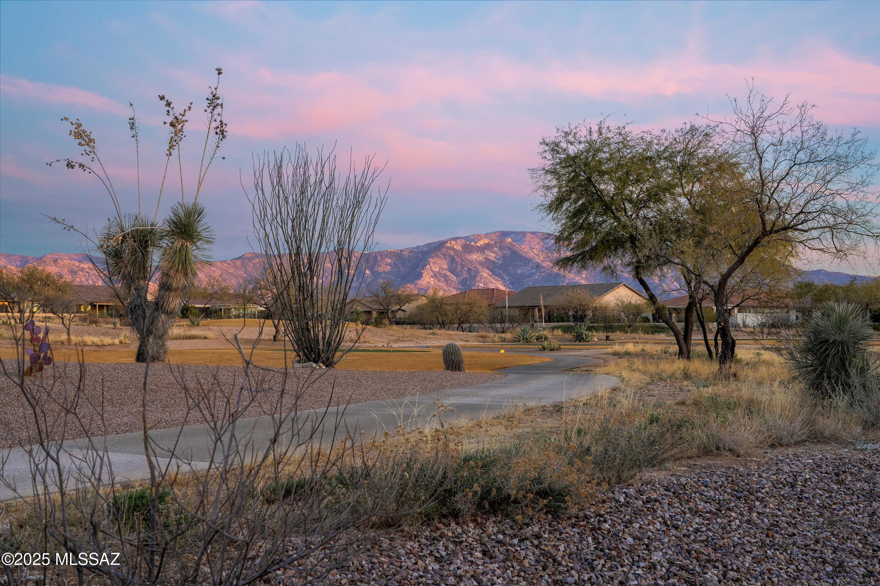 Enjoy the majestic views of the Catalina Mountains from this stunning home on the Golf Course. Located on one of the most sought-after streets at SaddleBrooke Ranch, this beautifully upgraded Solstice floorplan offers a luxurious living experience with breathtaking views of the Catalina Mountains. The open, airy layout features a chef's kitchen with quartz countertops, a large island, a butler's pantry, and an extra spacious walk-in pantry. Equipped with Monogram appliances, including a gas cooktop, this kitchen is a culinary dream. Enjoy incredible views from the separate dining area, while the expansive Great Room boasts a built-in media center and wet bar, making it perfect for entertaining. Stacking glass doors lead you to an impressive outdoor living space with a covered patio,remote controlled rolling shades, and a custom gas fireplace, all overlooking a meticulously landscaped yard. The rear yard features two separate dining areas and a large artificial turf space for easy maintenance.
The Primary Ensuite Bedroom is a serene retreat with stunning mountain views, a spacious gorgeous roll-in shower, and a large custom walk-in closet. The guest wing offers an ensuite bedroom with a sitting room that can serve as a private retreat or an additional office space. The expansive den features built-in cabinetry, perfect for an office or hobby space.
The home is enhanced with designer window coverings & lighting with upgrades throughout. The extended three-car garage has been finished with epoxy flooring, built-in storage cabinets, and features a keyless entry pad. Additional upgrades include a tankless water heater, water filtration system, whole house vacuum and EV charging setup.
With over $250,000 in upgrades, this golf course and mountain view home is a standout at SaddleBrooke Ranch! Don't miss the opportunity to experience this exceptional property.