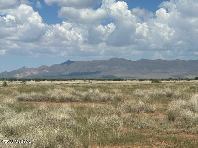 This expansive private and serene 40+acre vacant land in McNeal, AZ.  Located just a short 30-minute drive to Douglas and 40 minutes to Bisbee, offering both convenience and seclusion. Perfect off -the -grid place to build your dream home, ranch or farm, all within the bounds of RU-4 zoning, which permits utilization of the Cochise County Opt Out Permit.