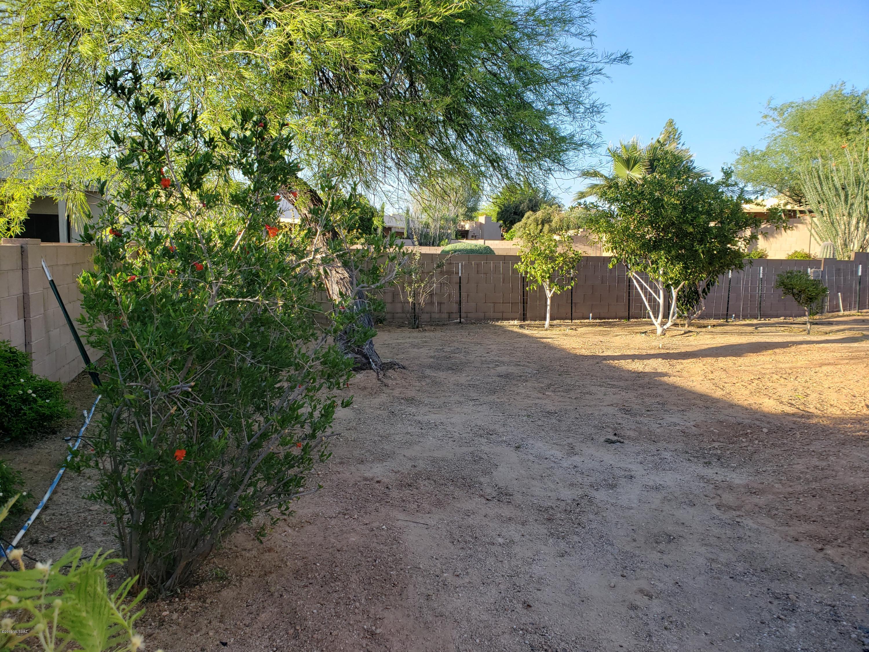 Casas Adobes Terrace (1-184) - Residential