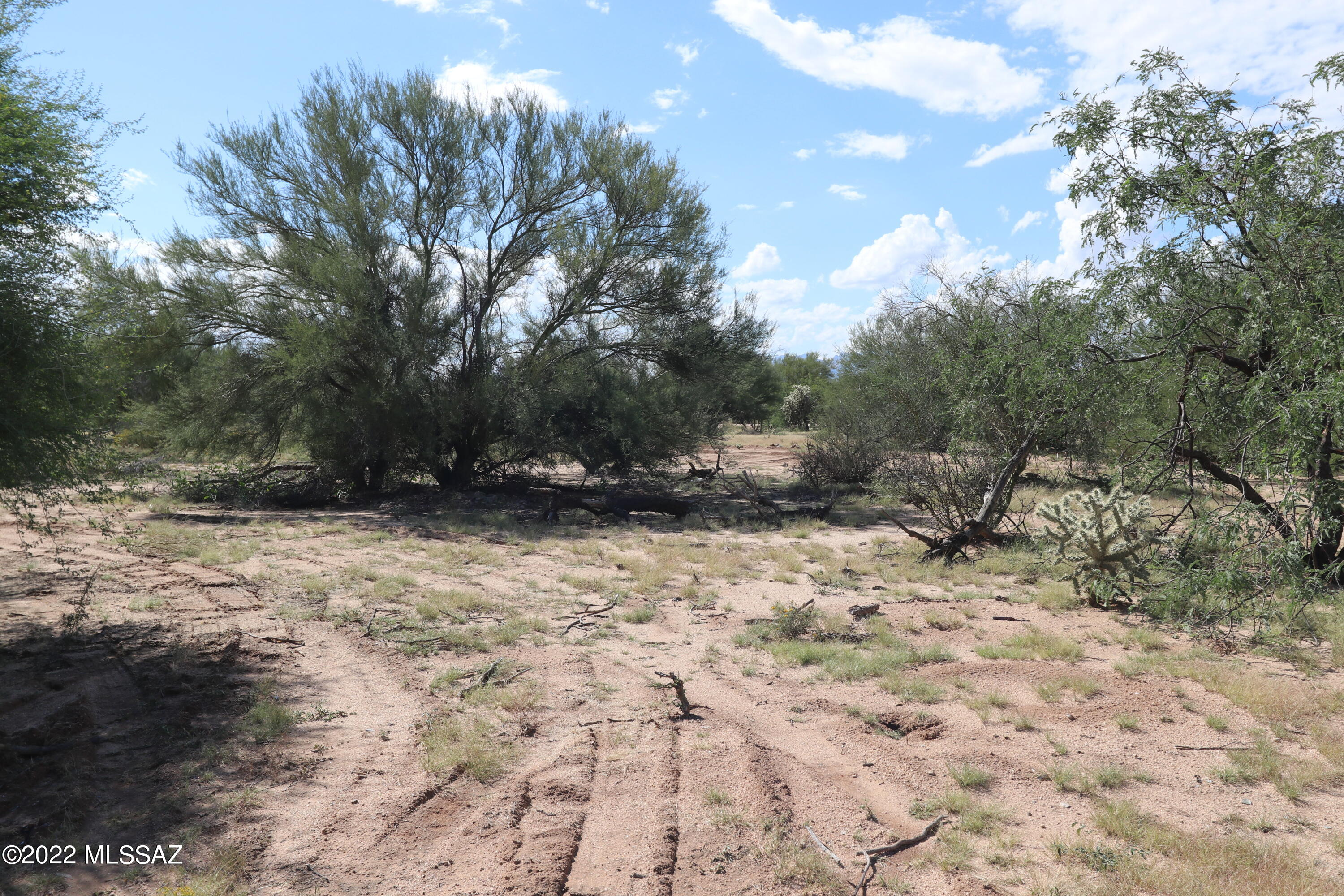Diamond Bell Ranch - Tucson (1-229) - Land