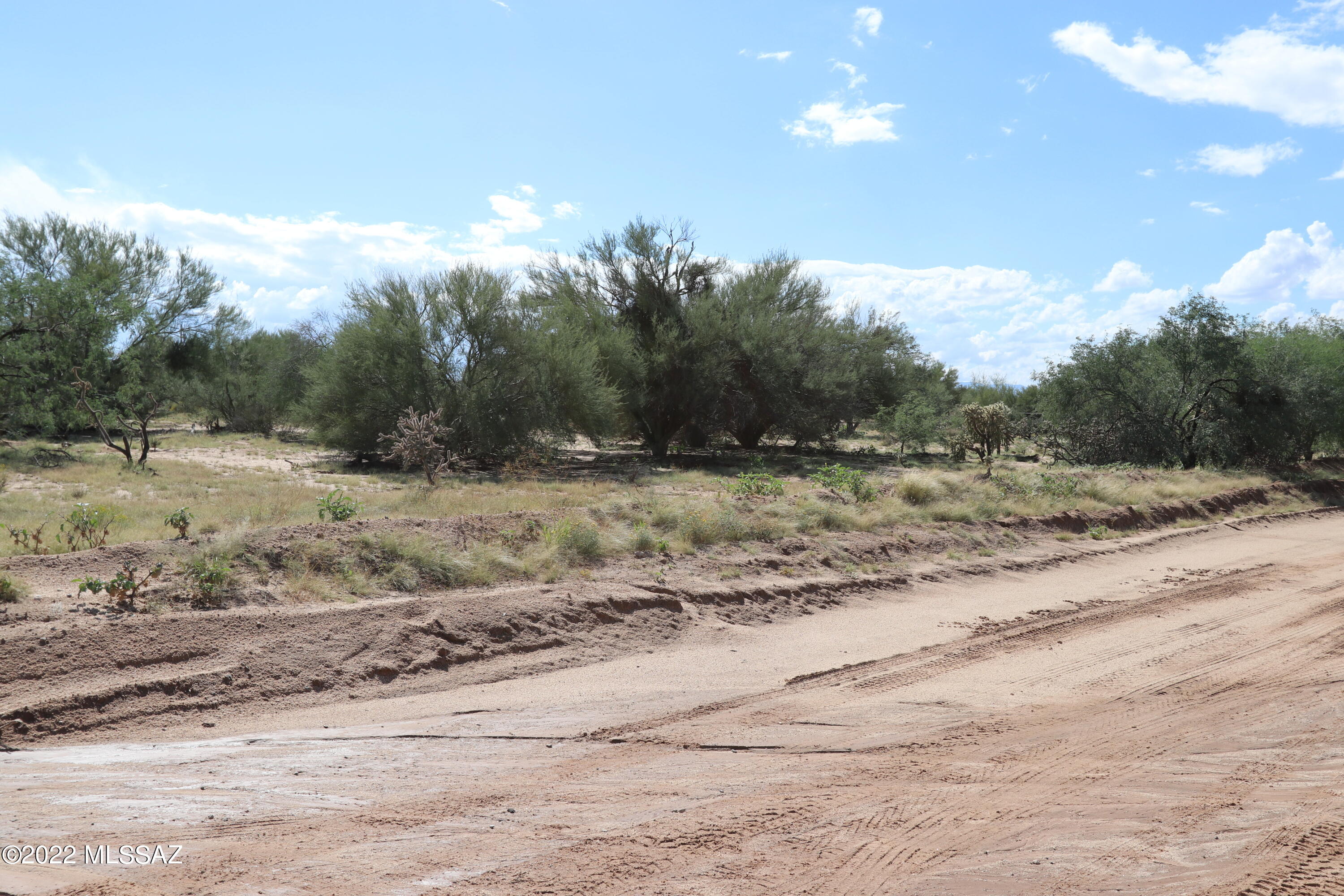 Diamond Bell Ranch - Tucson (1-229) - Land