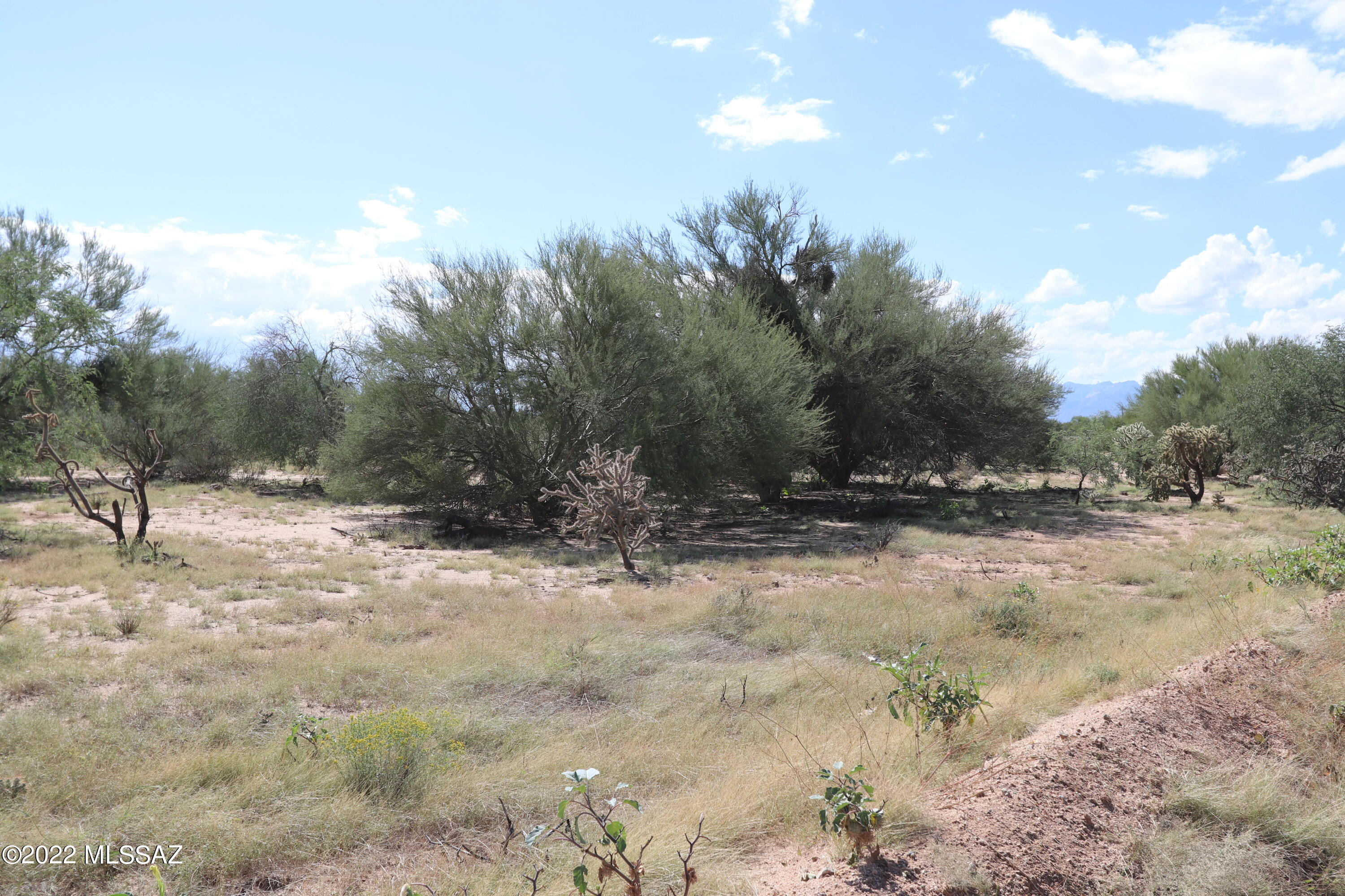 Diamond Bell Ranch - Tucson (1-229) - Land