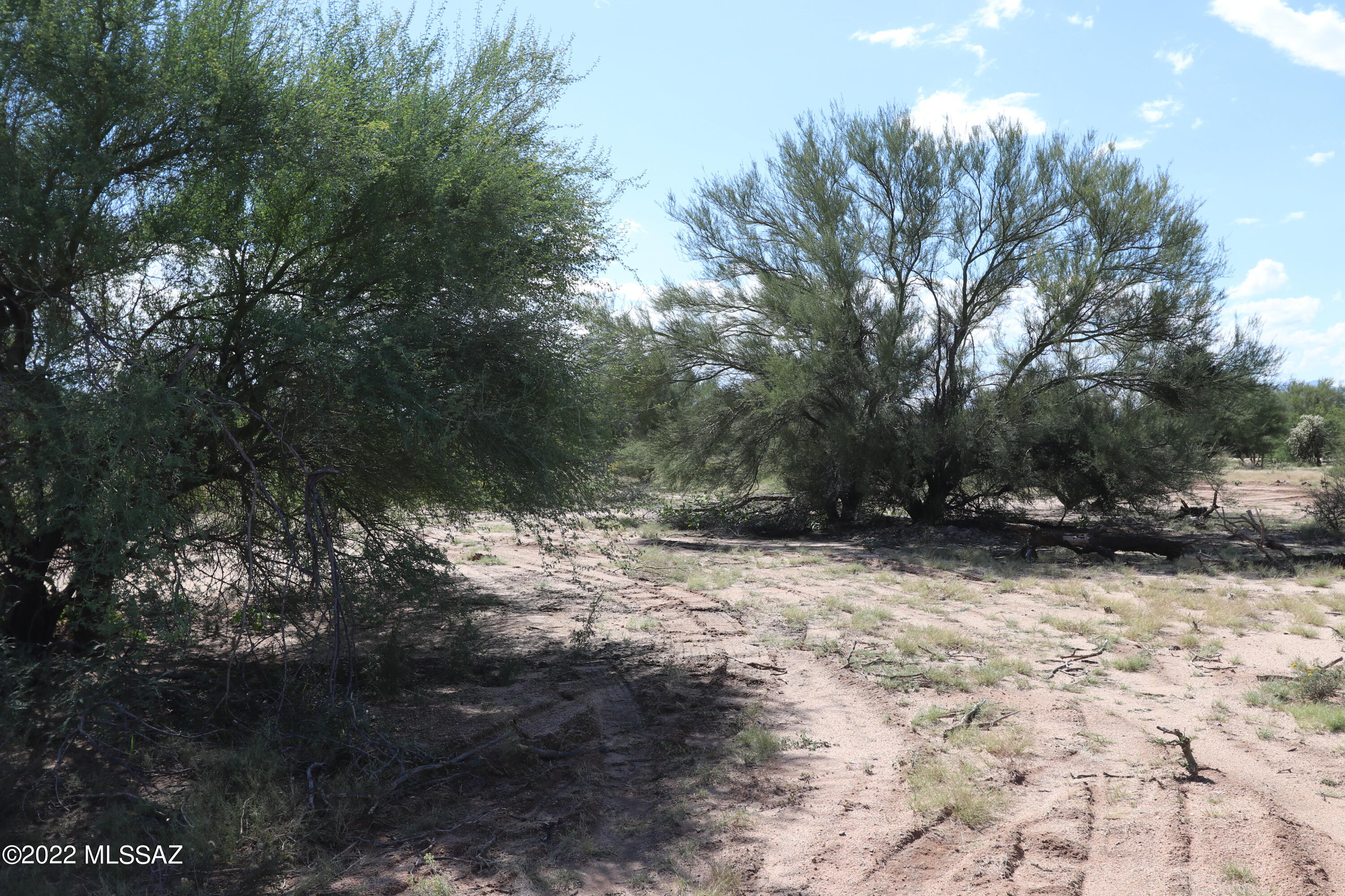 Diamond Bell Ranch - Tucson (1-229) - Land