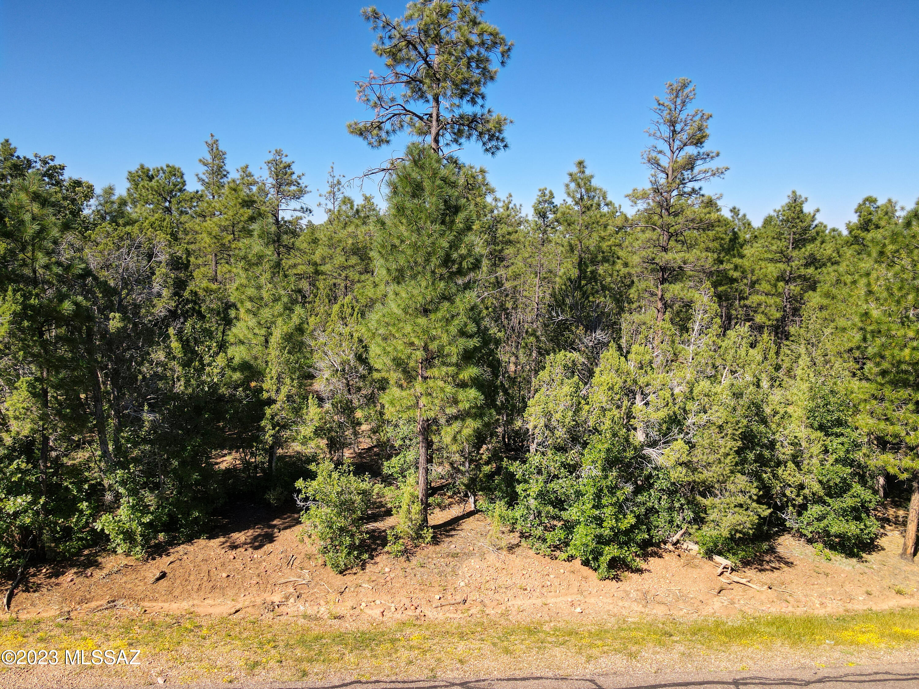 Out Of Pima County - Land