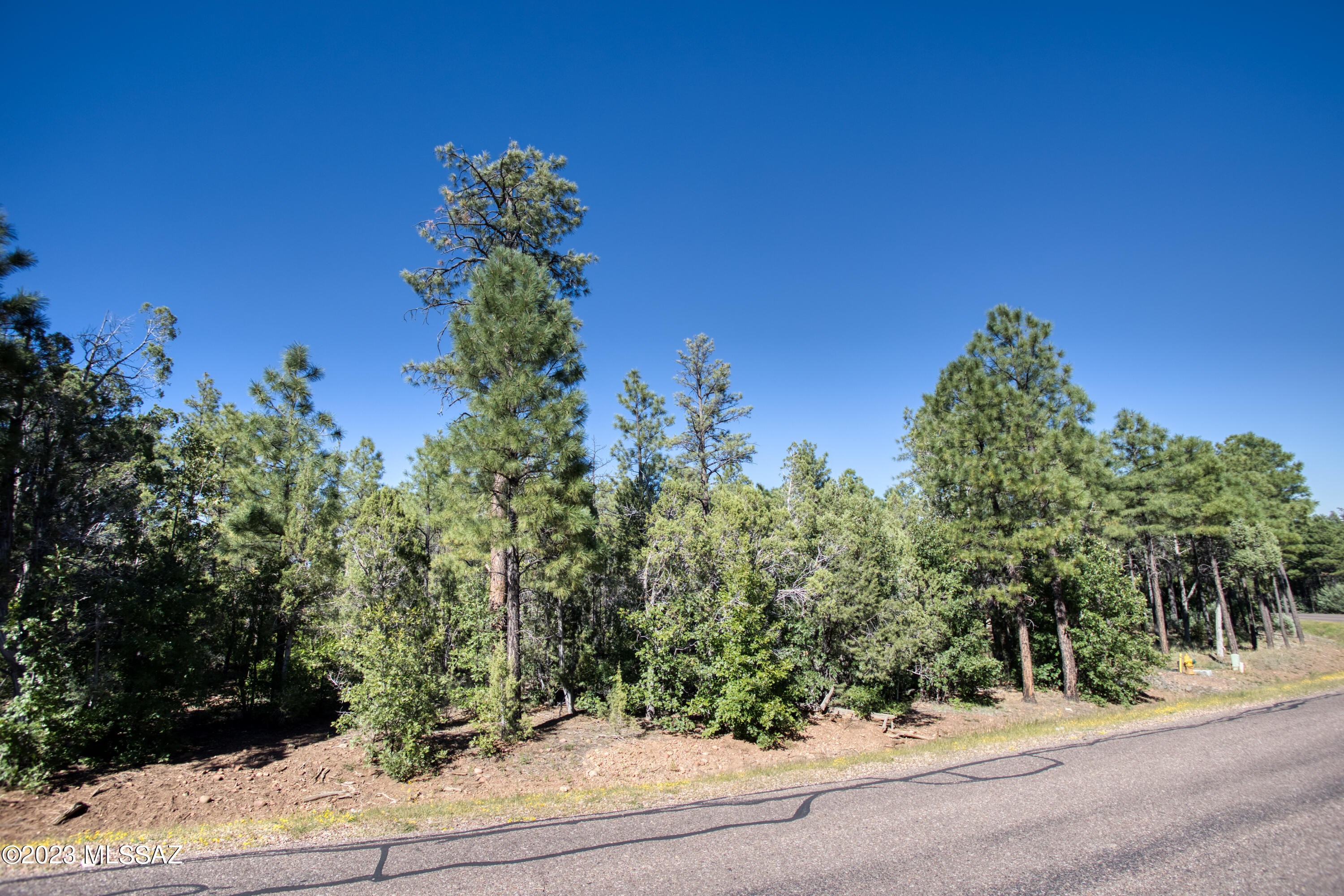 Out Of Pima County - Land