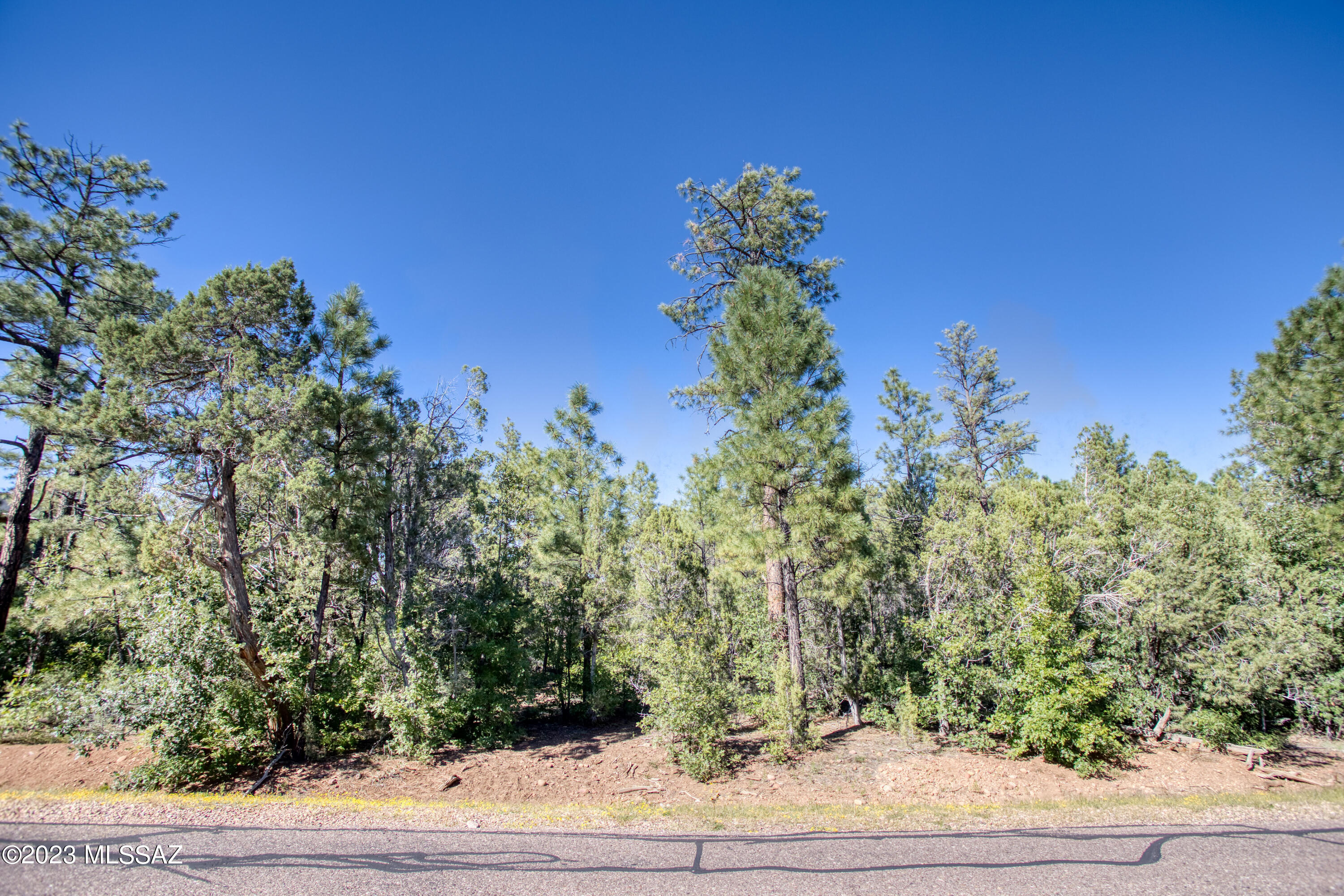 Out Of Pima County - Land