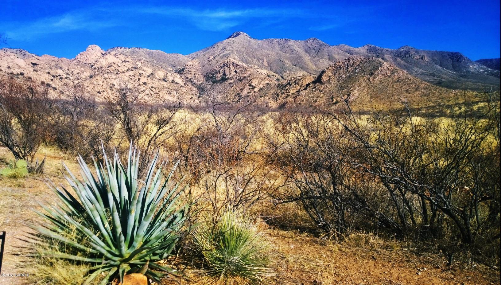 Incredible views of the rock formations of the Swisshelm mountains accent this 120 acres. The elevation is between 4300-4400'ASL. This parcel is outside of the Douglas Irrigation Non-Expansion Area and may be irrigated. Vineyard & Orchard potential. Great year round climate. Beautiful sunrise & sunset views from many of the building sites on the property. There is a wildlife/stock tank on the eastern boundary of the property. The seller is a licensed real estate broker in Arizona. Seller will carry with 20% down & consider exchanges. Seller will also consider selling smaller parcels 20,40, or 80 acre options. Submit your offer for consideration.