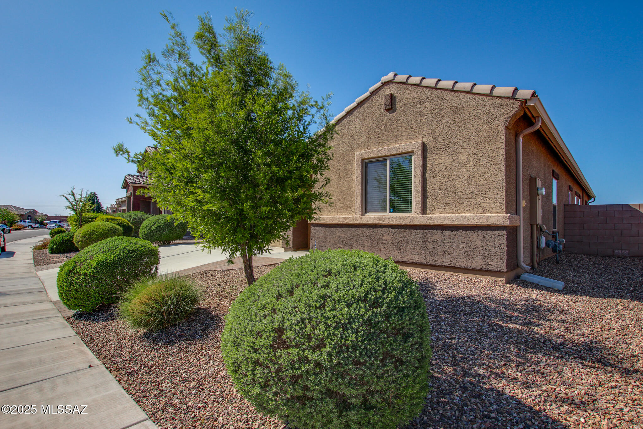 Saguaro Bloom Block 2 - Residential