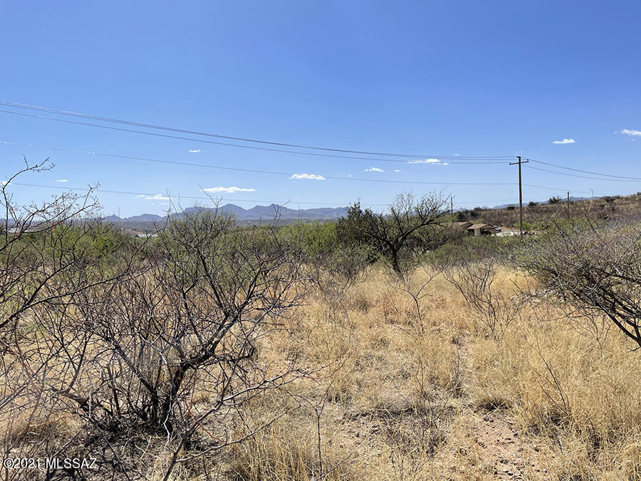Rio Rico Estates 10 - Land